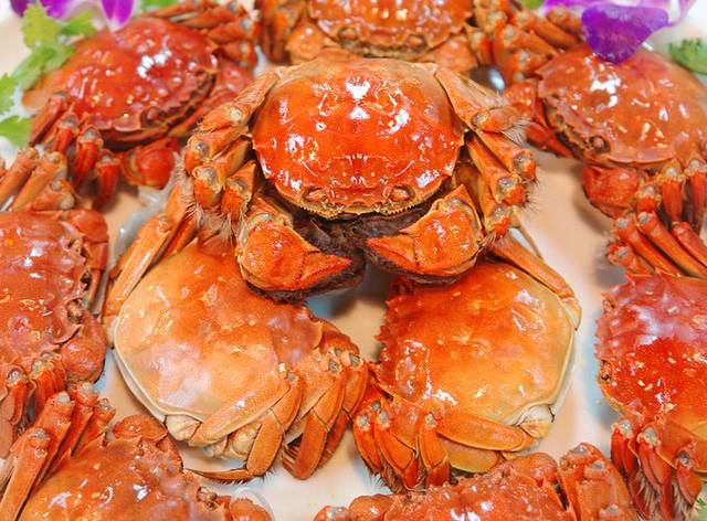 阳澄人家农家乐舍得蟹庄