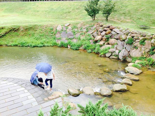 大沟溪生态治水园区