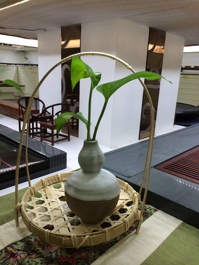 红嫂炖汤(湛月一店)