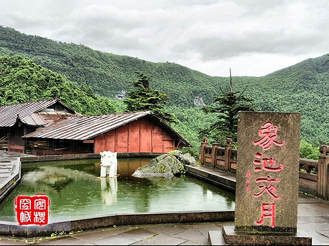 象池夜月旅游景点图片