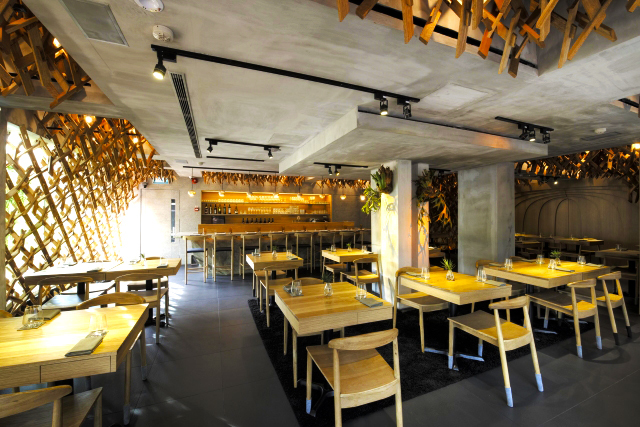 Wild Rocket @ Mount Emily