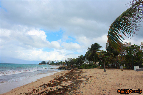 Ocean Park