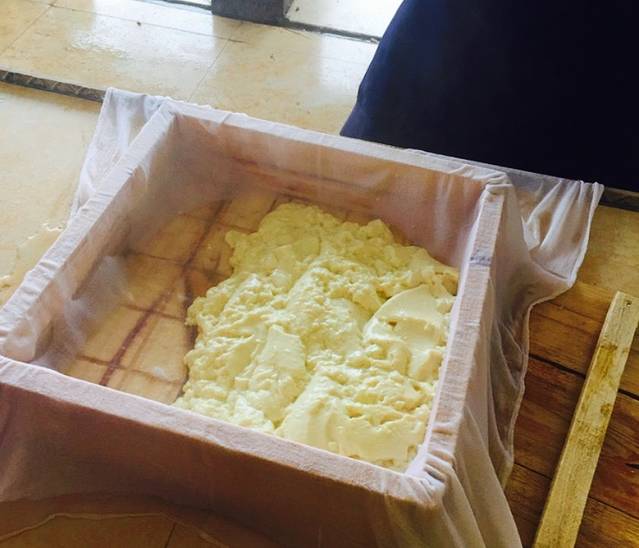 佳农探趣休闲生态园