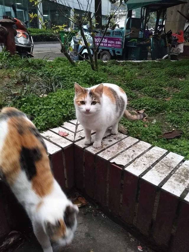 半秋山西餐厅(孝感保丽店)
