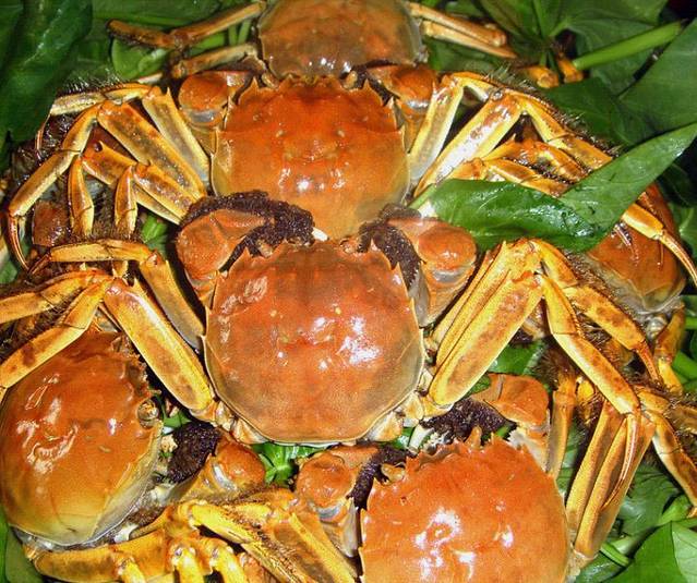 全羊馆(黄二路店)