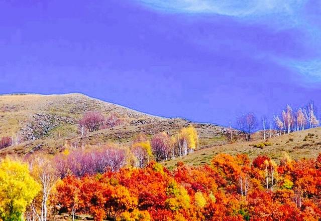 周末缘农家客栈