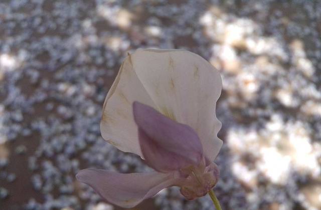 仟语牵行DIY手工创意作坊