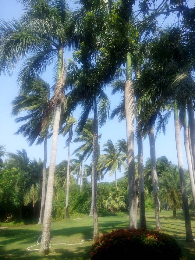 猴岛渔排海上餐厅