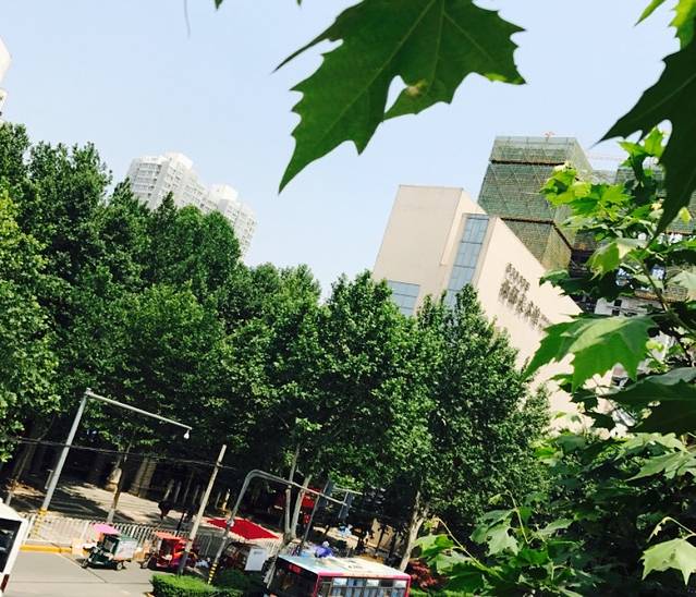 西安美术学院-西部美术馆