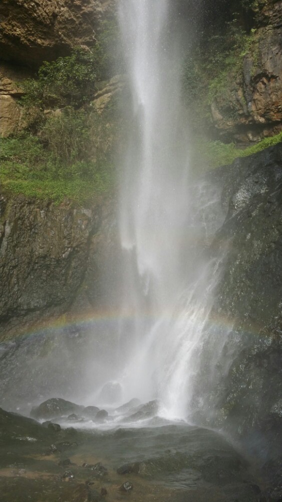 中华舞龙故乡景区