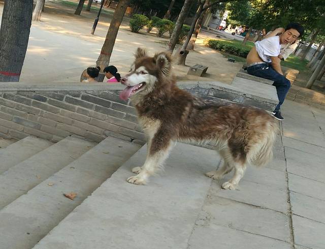 隋大兴唐长安城明德门遗址公园