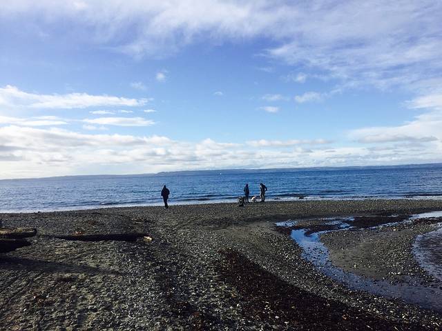 Meadowdale Beach Park