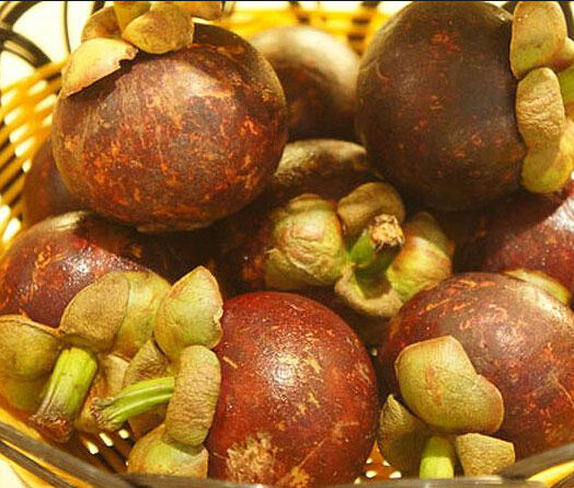 北京天伦松鹤大饭店·欣妮咖啡厅