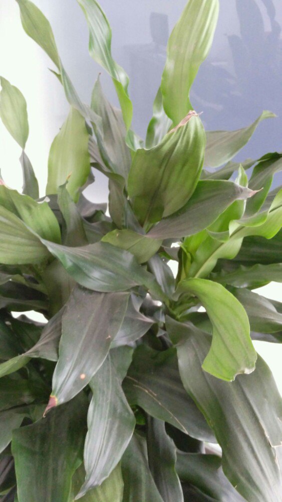 大润发(赣州店)