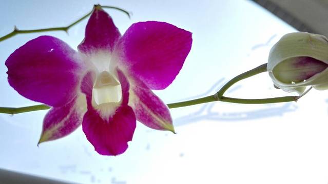 湖北省图书馆读者餐厅