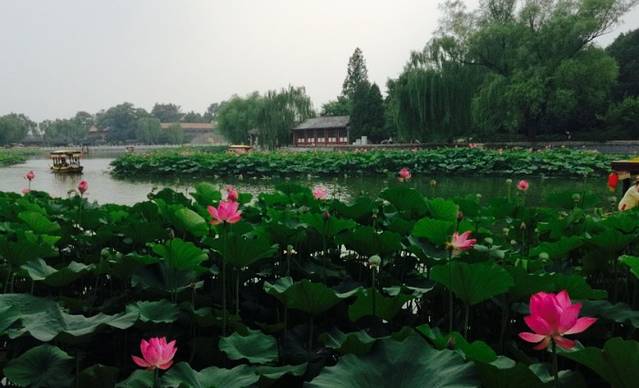 北海公园-琼岛春阴