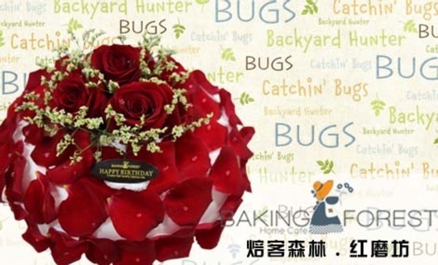 焙客森林红磨坊(文化广场店)