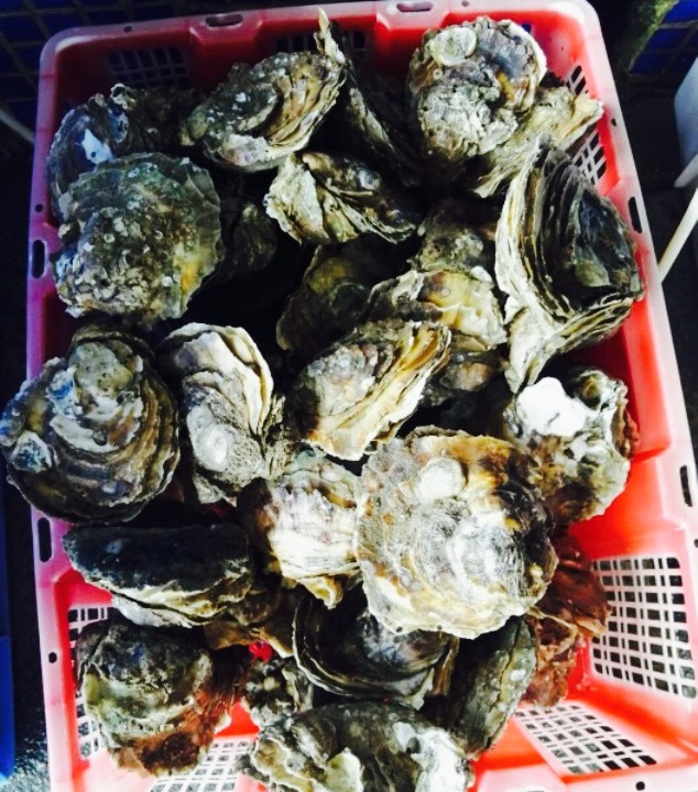 上川岛海天一色渔港