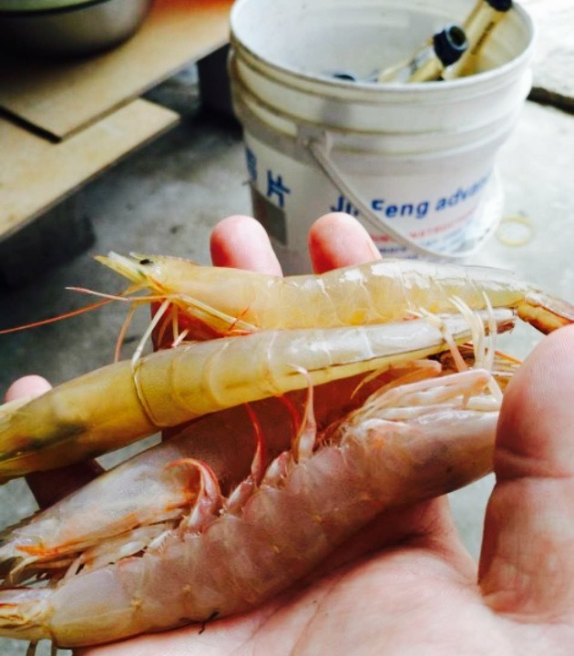 海门岛小张家海鲜坊