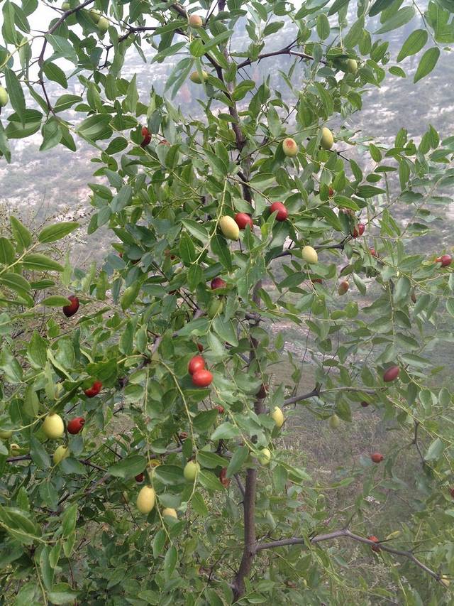 峨庄瀑布群风景区