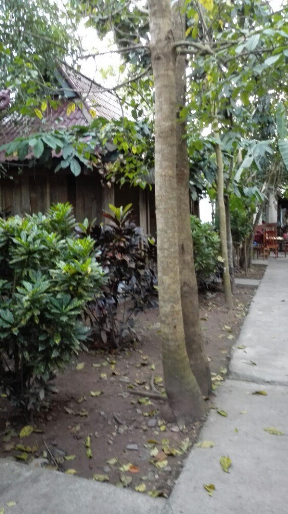 城子桥头风味园