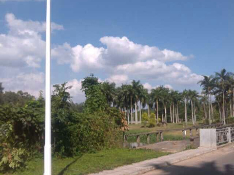 军屯热带花果园