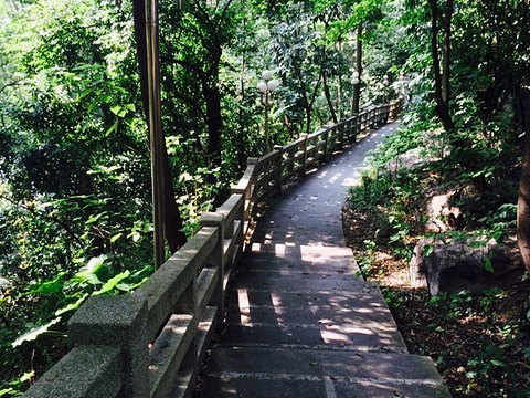 2023牛山炮台公园-旅游攻略-门票-地址-问答-游记点评,广州旅游旅游