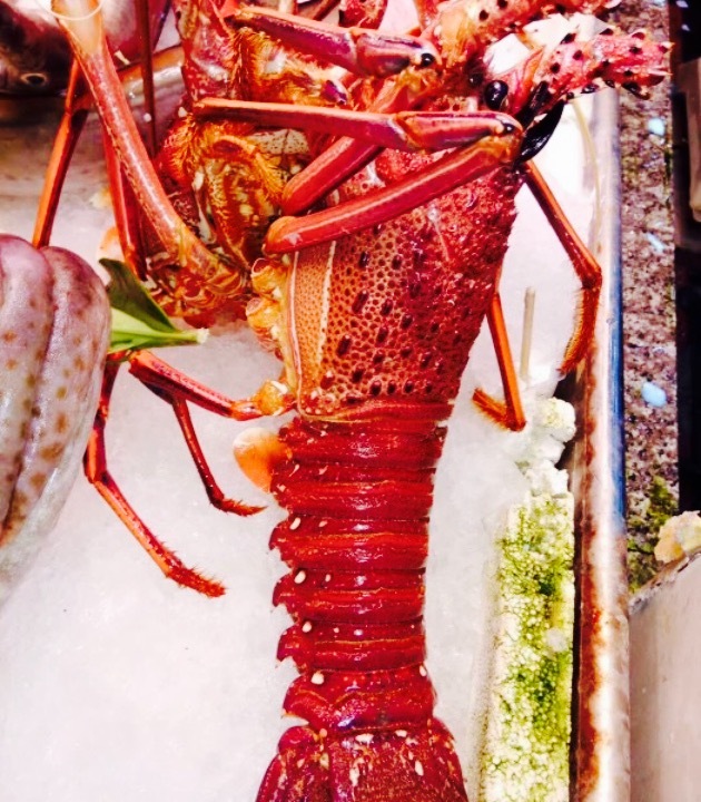 潮旺渔港(大浪店)