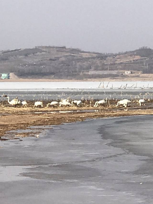 白石水库风景区