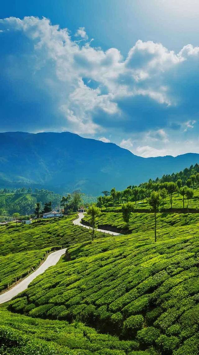 丽垣涮肉(高新店)