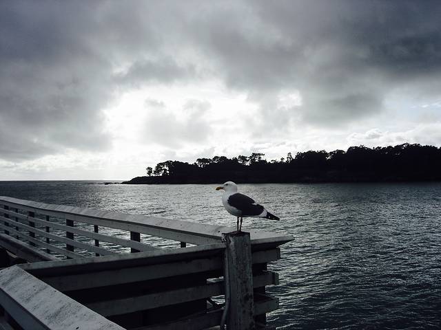 William Randolph Hearst Memorial Beach