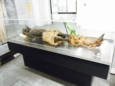 Civico Museo Archeologico Sezioni Preistorica ed Egizia旅游景点图片