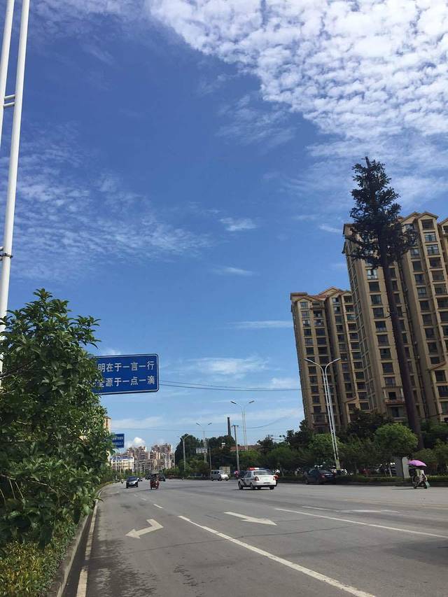 华莱士·全鸡汉堡(老河口二店)