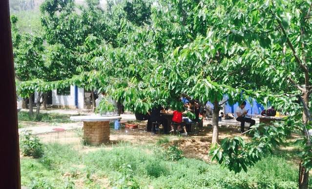 樱桃园农家饭店