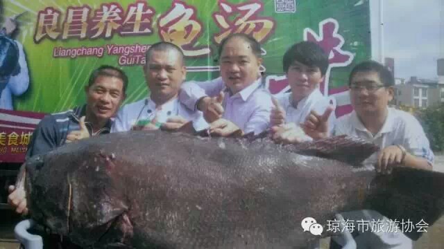 良昌老味·琼菜