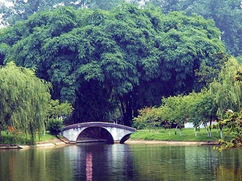 金雁湖