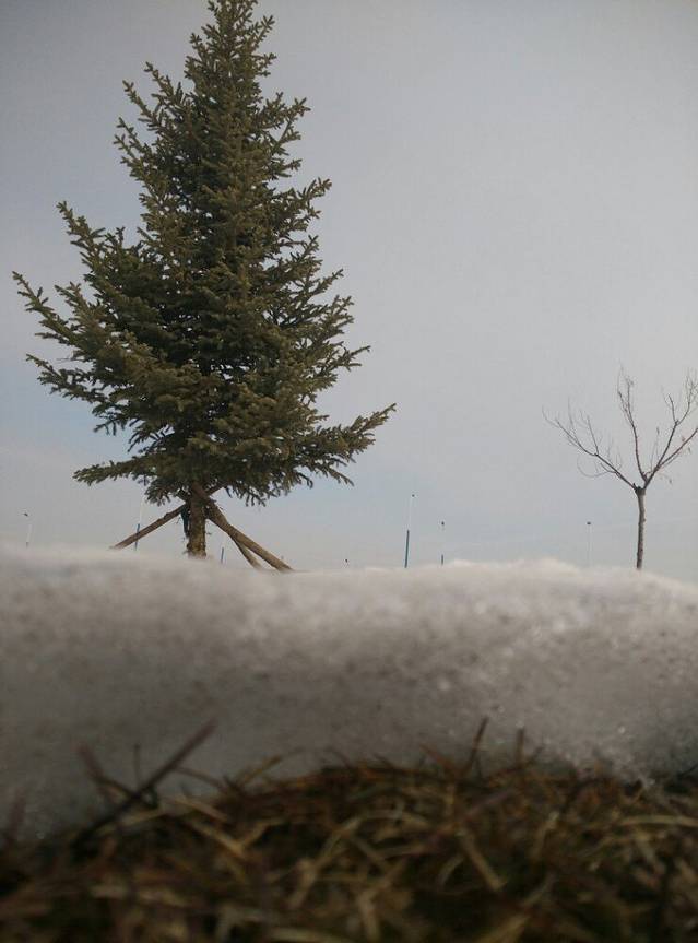 华润万家(万达广场呼和浩特店)