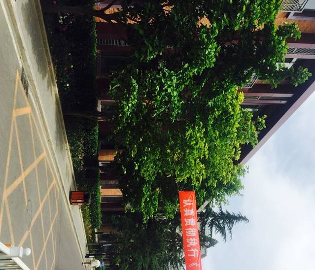 国际传播科技文化园