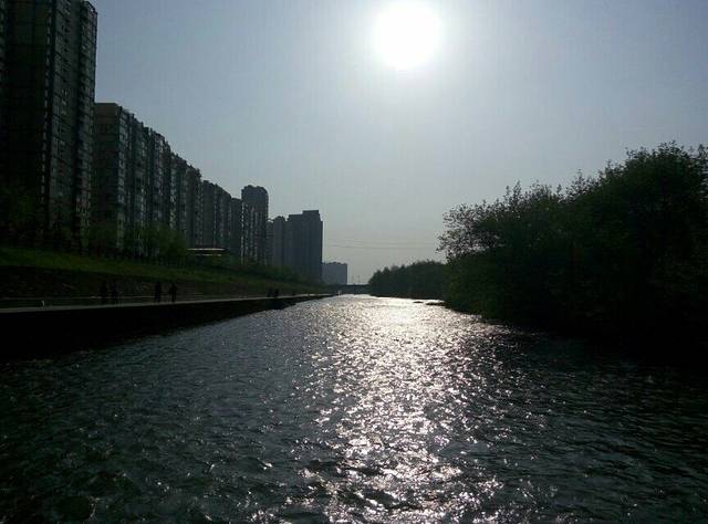 化成洲湿地公园