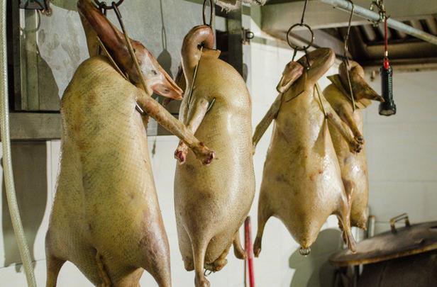 大进喜烧猪烧鹅