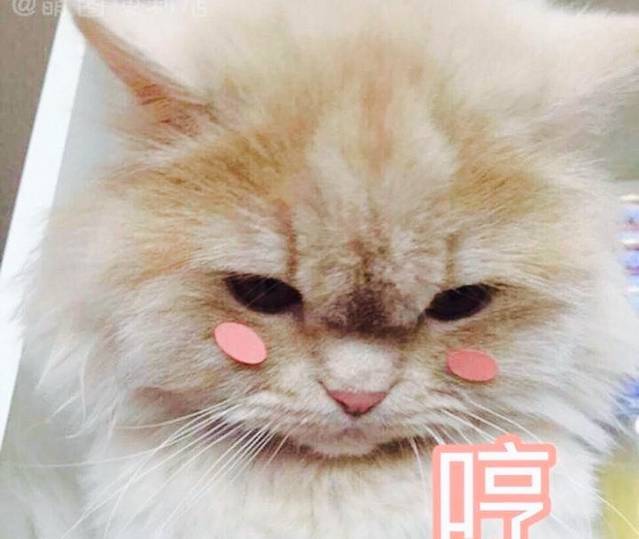 湖南中医药大学-图书馆