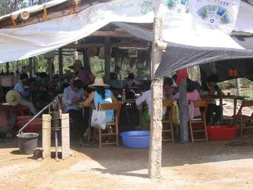 海陵珍珠养殖场