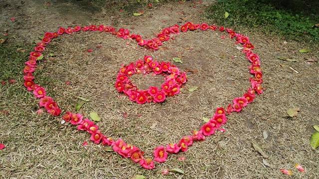 华南理工大学国家大学科技园