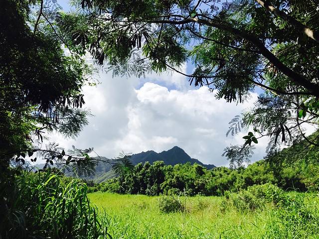 火玛卢霞植物园