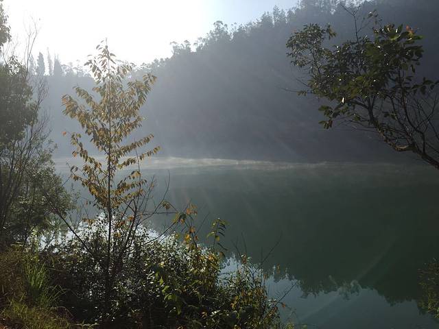 云南龙泉国家森林公园