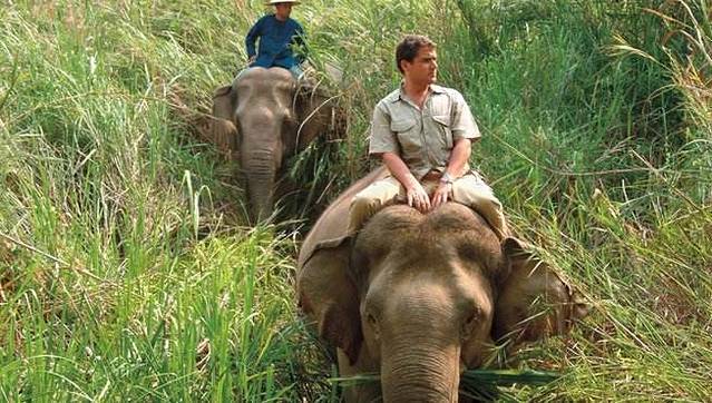 普吉岛卡林海景大象营