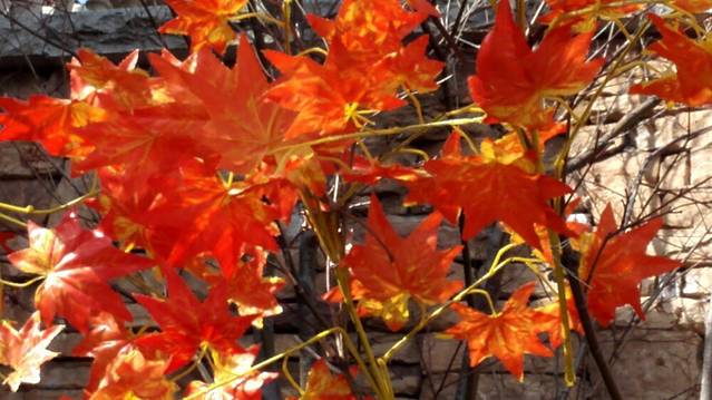 大连理工大学(凌水校区)-伯川图书馆