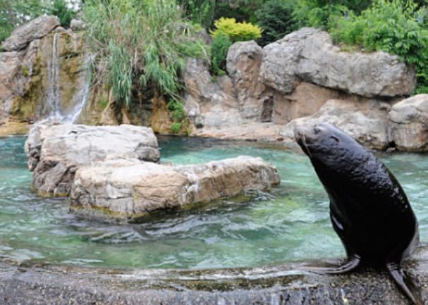 皇后区野生动物保护中心
