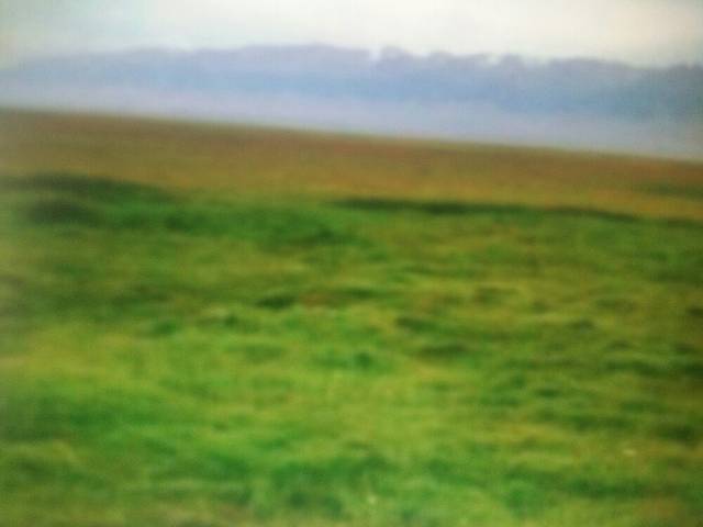 巴里坤古城景区