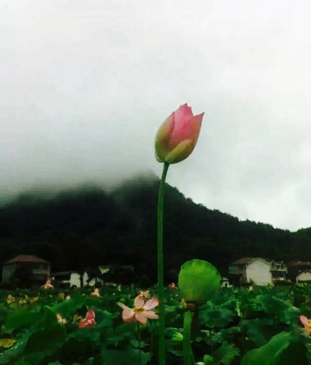 经典味道(广场店)